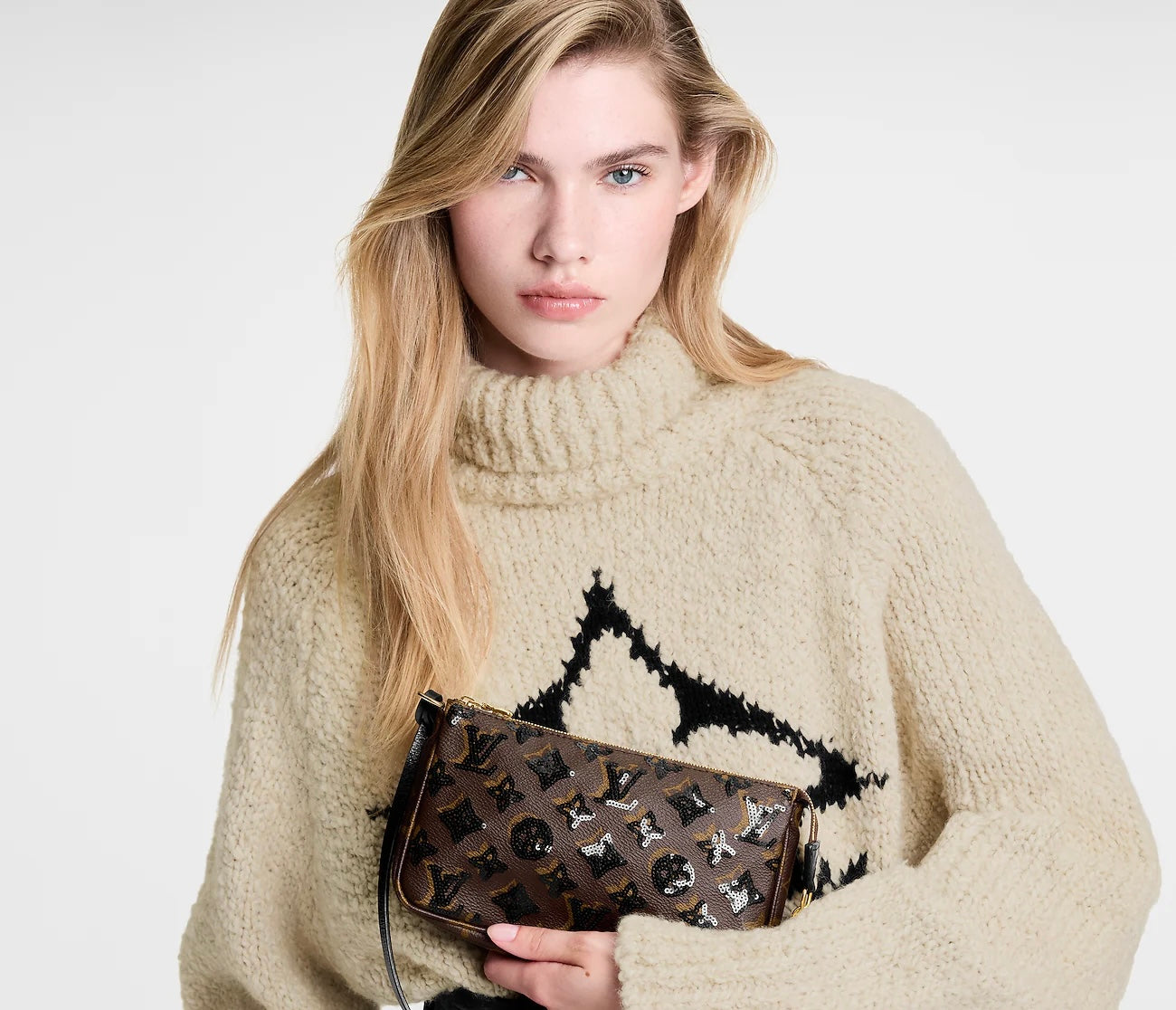 Louis Vuitton Pochette Accessoires