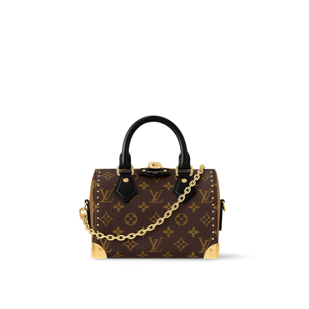 Louis Vuitton Speedy Trunk 20 bag